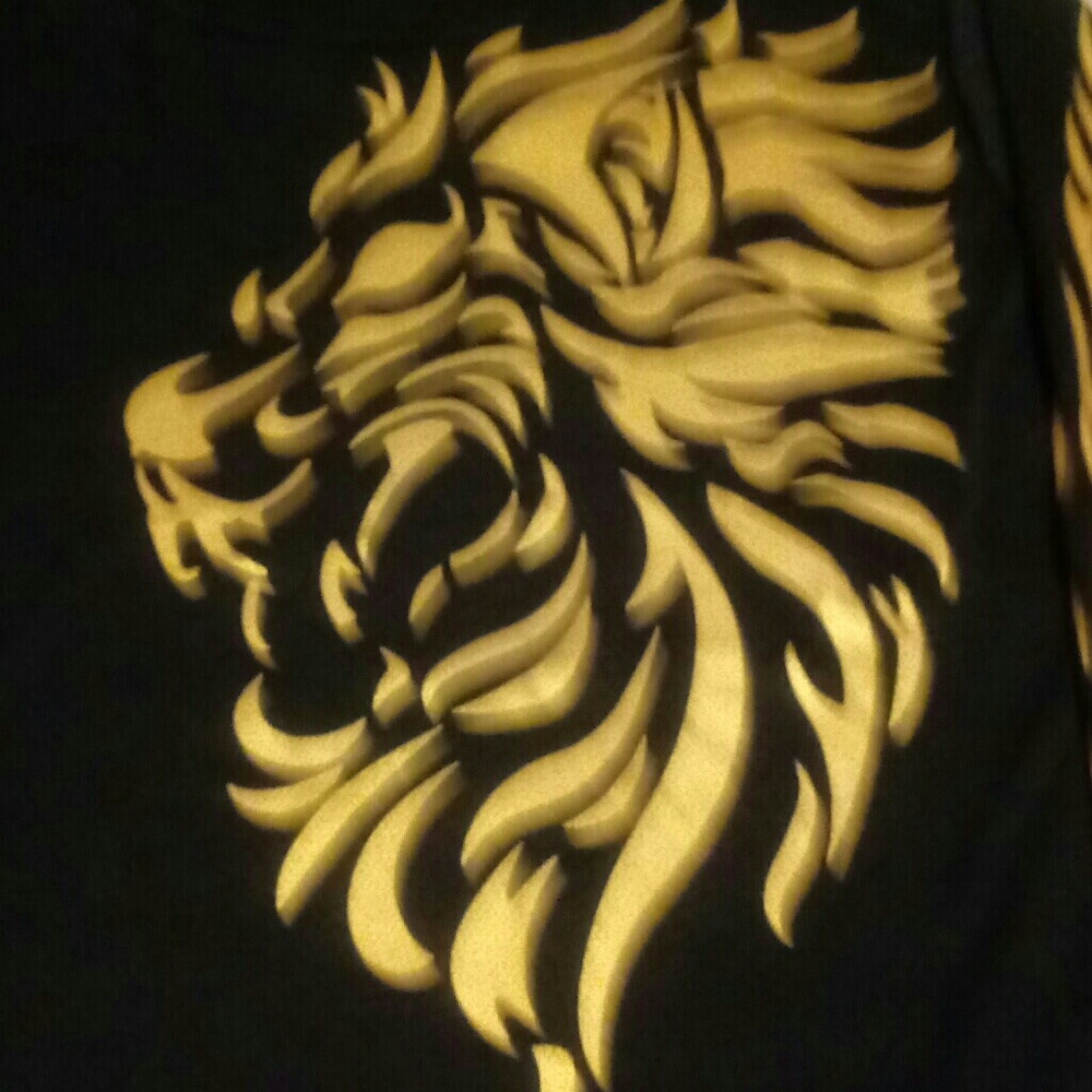 Comen's : Unisex Lion Print Long Sleeve T-shirt !